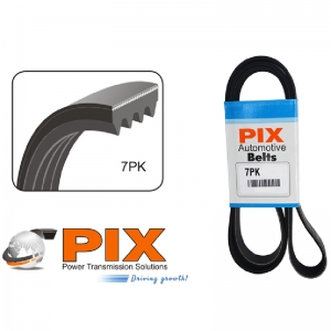 7PK Ribbed Automotive Belt PIX